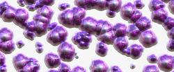静止吸烟紫色的细菌球库高清图片
