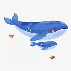 蓝色珊瑚设计插图大鲸鱼和小鲸鱼高清图片