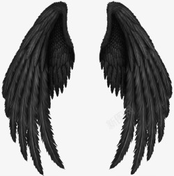 黑色翅膀心形黑色的翅膀羽毛高清图片