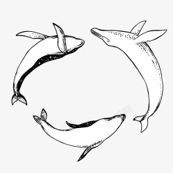 三头鲸鱼戏水简笔画素材