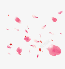 创意合成场景粉红色的花瓣素材