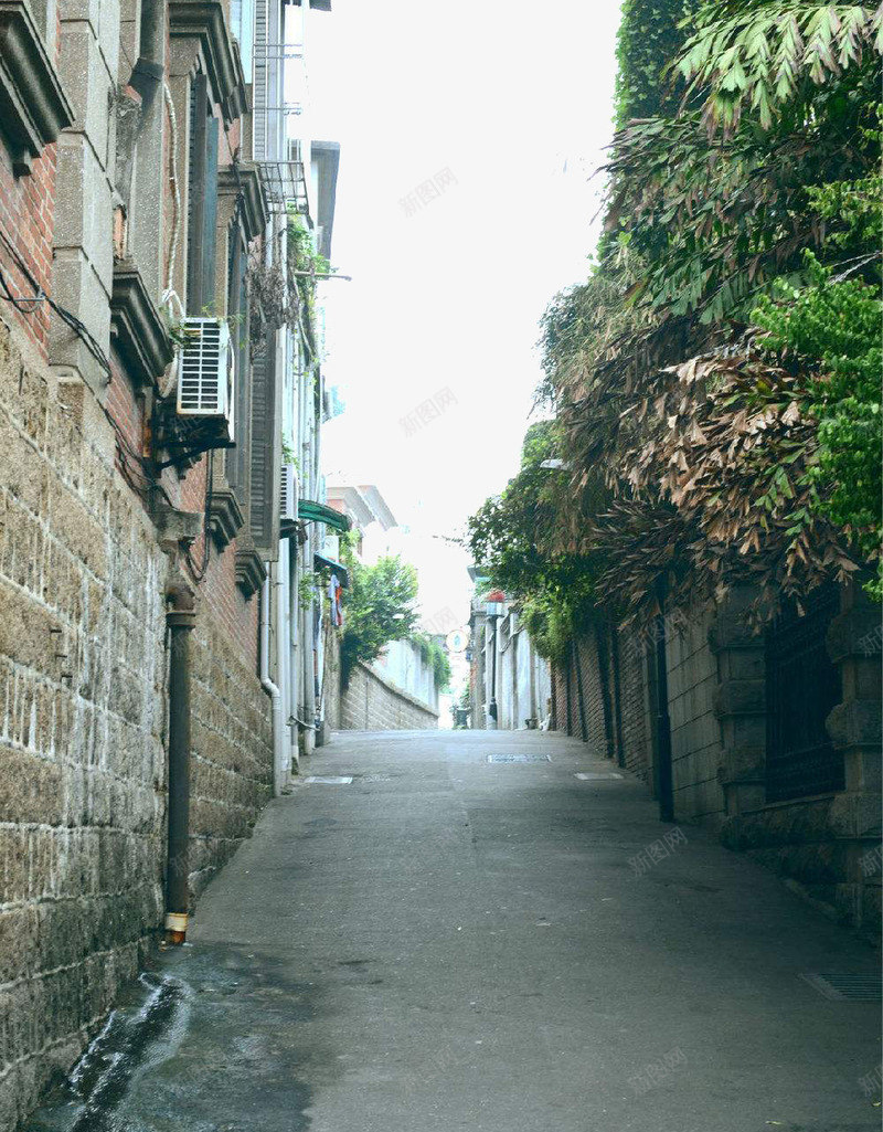 雨中小巷png免抠素材_88icon https://88icon.com 小巷 幽静 江南雨巷 石头房子 翠绿