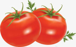 沾水沾水的西红柿2高清图片