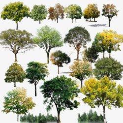 高清免抠图下载树木图高清图片