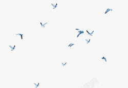 漂浮小鸟飞翔的蓝色小鸟漂浮小鸟高清图片