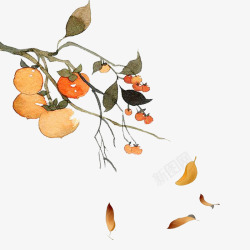 免抠柿子树图片中国风重阳节柿树海报元素高清图片