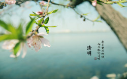清明节祭祀春天四月清明节青团海报背景1高清图片