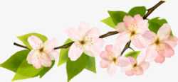 相约四月天桃花春季最美四月天高清图片