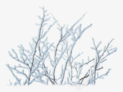 卡通手绘冬天雪景树枝素材