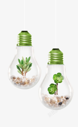 创意盆栽图片灯泡里的绿色植物高清图片