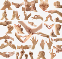 手型手掌手指35种手势PSD分层高清图片