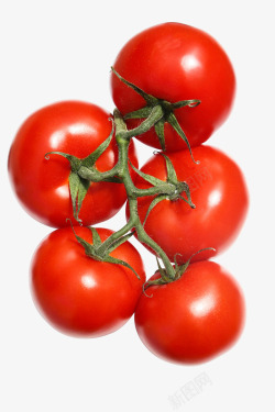 鲜红的西红柿西红柿鲜红的番茄水果高清图片