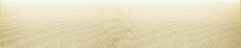沙滩沙子海报背景png免抠素材_88icon https://88icon.com 沙子 沙滩 海报 背景