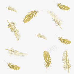 羽毛金色金色漂浮羽毛图高清图片