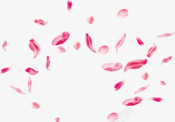 春天粉红色漂浮花瓣素材