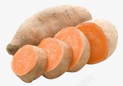 地瓜番薯素材