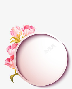 热带花朵标题框粉红色圆形边框高清图片
