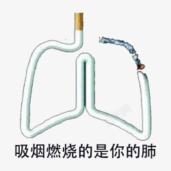 拒绝烟草点着的烟拼成的肺部图高清图片