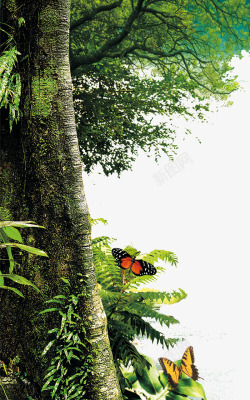 植物森林森林大树花蝴蝶高清图片