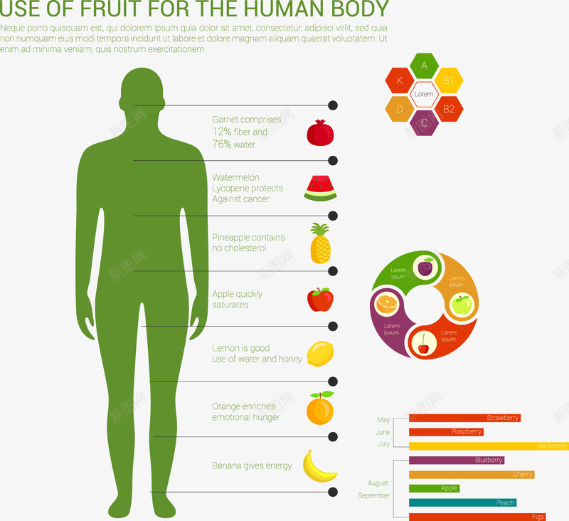 水果用于人体的用途图表png免抠素材_88icon https://88icon.com PPT信息图片 个性创意信息图表 人的图片 水果品种 水果图片