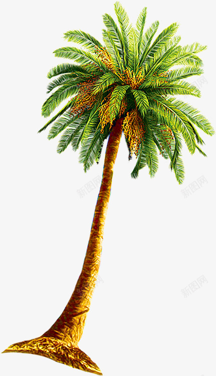 植物绿色沙滩椰子树海边png免抠素材_88icon https://88icon.com 植物 椰子树 沙滩 海边 绿色