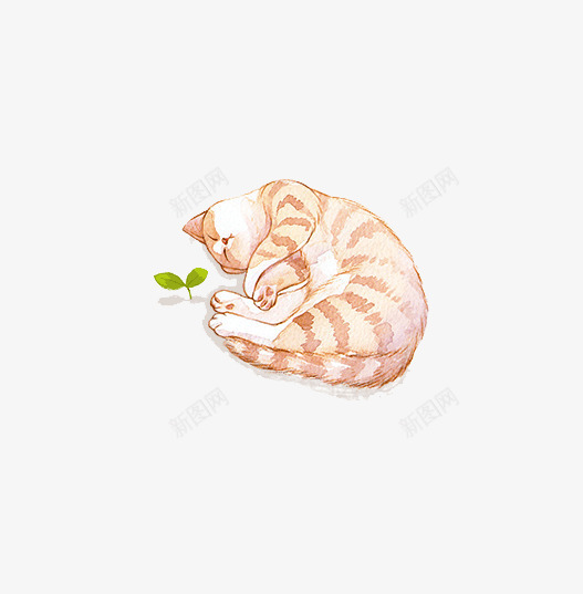 手绘水彩瞌睡猫咪psd免抠素材_88icon https://88icon.com 手绘猫咪 水彩 猫 猫简笔画 瞌睡的小猫