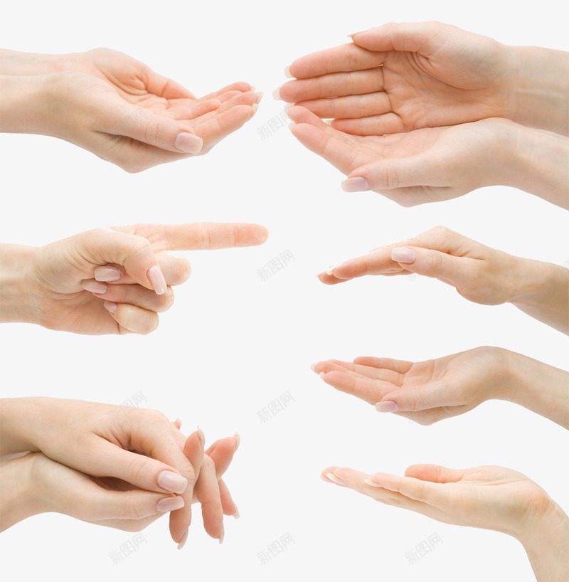 手势png免抠素材_88icon https://88icon.com 手势 手指 手掌 托 搞怪手势