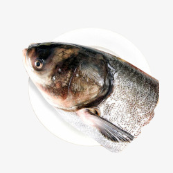 大黄鱼产品实物鱼花鲢鱼鱼头高清图片