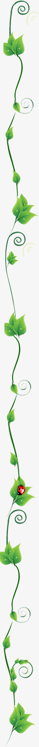 手绘藤蔓设计春天手绘藤蔓绿叶高清图片