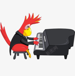 曲调弹钢琴的鹦鹉高清图片