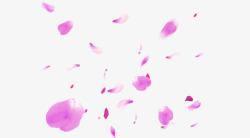 紫红色的花朵梦幻紫红色的花瓣高清图片