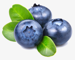 新鲜蓝莓水果营养素材