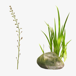 石头绿叶叶子素材