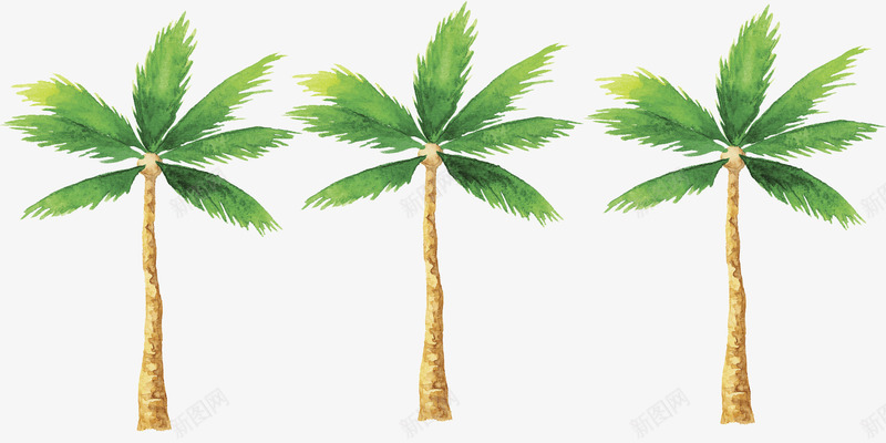 卡通椰子树插图png免抠素材_88icon https://88icon.com 卡通 叶子 插图 椰子树 椰林 灌木 热带 热带树 绿色