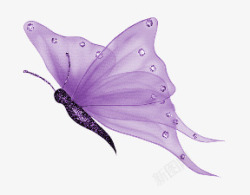 时尚渐变色紫色蝴蝶高清图片
