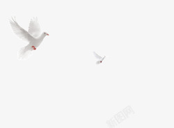 矢量白色飞翔翱翔和平鸽高清图片