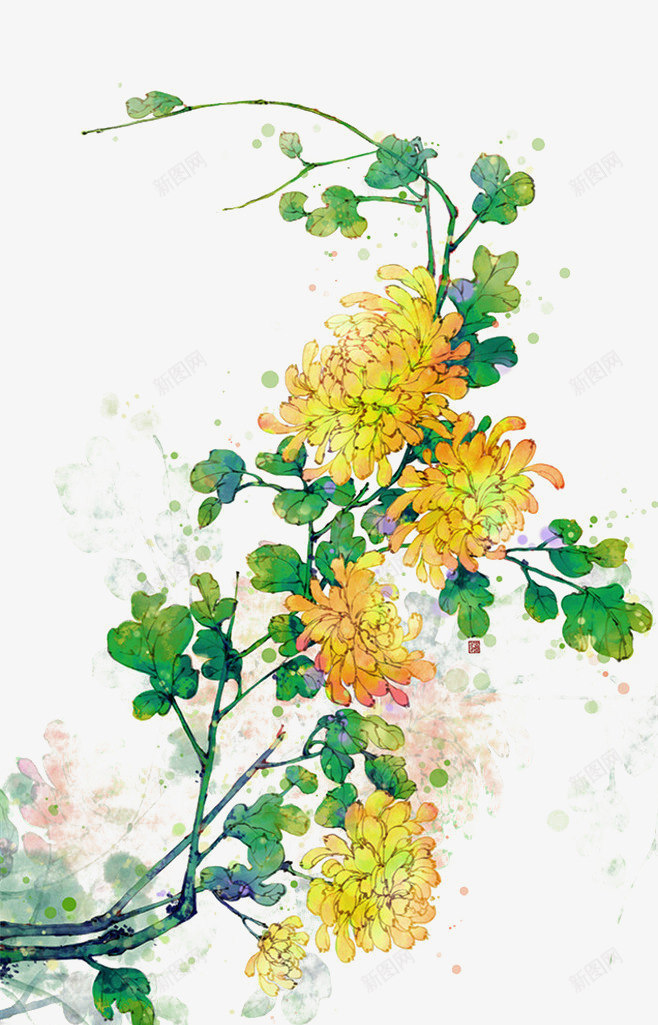 手绘花卉黄色菊花png图片免费下载-素材opyoorg-88ICON