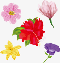 五彩水彩花朵素材