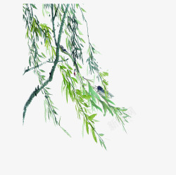 树叶水墨画手绘中国风柳枝高清图片