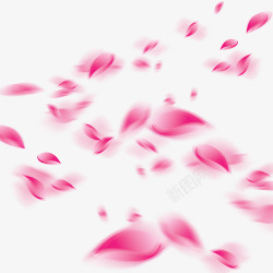 粉红渐变粉红渐变飘扬的玫瑰花瓣高清图片