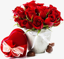 红玫瑰花盆红心礼盒七夕情人节素材