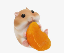 吃橘子的仓鼠素材