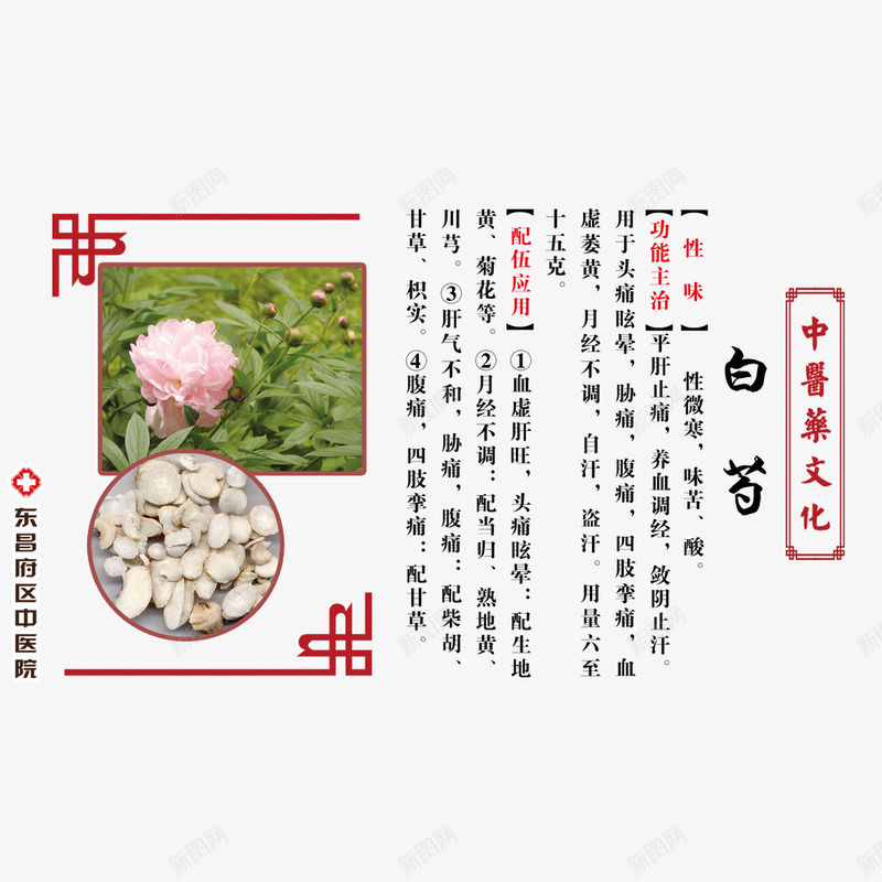 中药白芍介绍免费png免抠素材_88icon https://88icon.com 中药 中药材 免扣图片 免费 免费下载 免费图片 白芍 白芍花