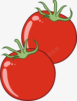番茄红色的西红柿矢量图高清图片