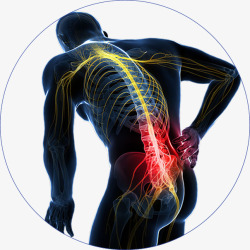 腰痛腰痛人体经脉骨架透视高清图片