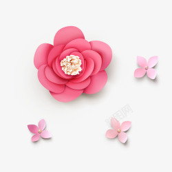 盛开的睡莲花朵韩式美容美妆唯美立体花卉高清图片