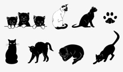 猫猫动态图素材