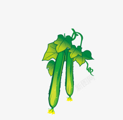 黄瓜花新鲜的黄瓜手绘图高清图片