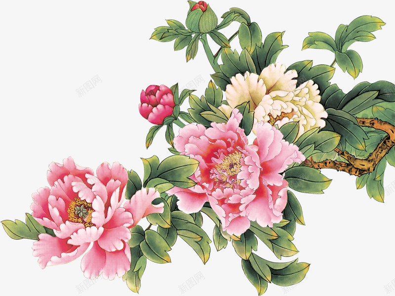 水墨画牡丹png免抠素材_88icon https://88icon.com png 水墨画素材 牡丹 粉牡丹 粉色 红色 花朵