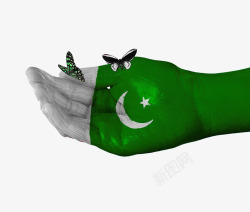创意巴基斯坦国旗手绘蝴蝶图案素材